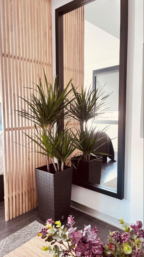 Plasencia Plaza Mayor Luxury エクステリア 写真